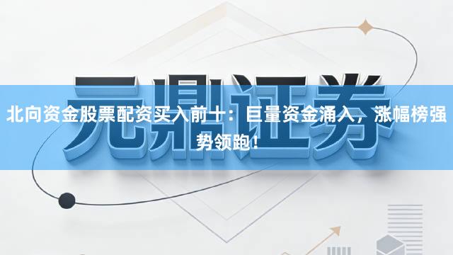 北向资金股票配资买入前十：巨量资金涌入，涨幅榜强势领跑！