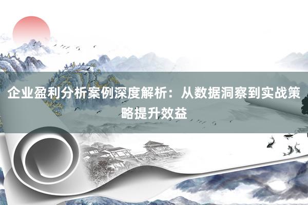 企业盈利分析案例深度解析：从数据洞察到实战策略提升效益