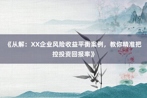 《从解：XX企业风险收益平衡案例，教你精准把控投资回报率》