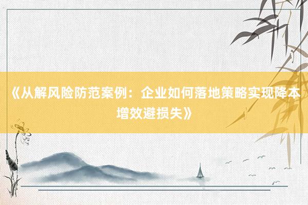 《从解风险防范案例：企业如何落地策略实现降本增效避损失》