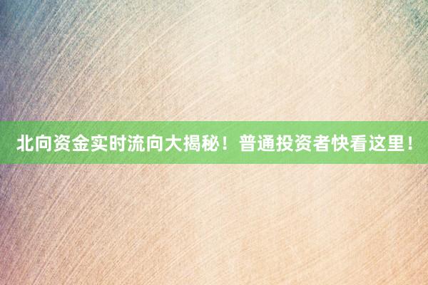 北向资金实时流向大揭秘！普通投资者快看这里！