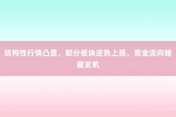 结构性行情凸显，部分板块逆势上扬，资金流向暗藏玄机