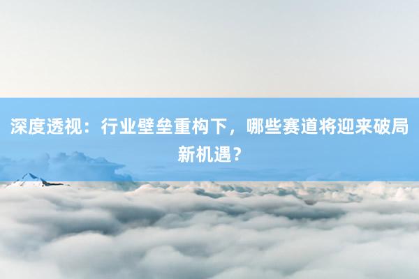 深度透视：行业壁垒重构下，哪些赛道将迎来破局新机遇？