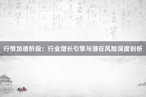 行情加速阶段：行业增长引擎与潜在风险深度剖析