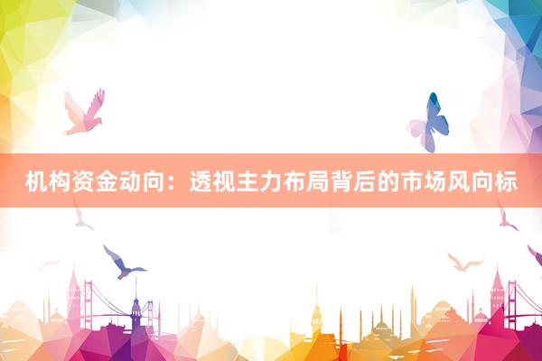 机构资金动向：透视主力布局背后的市场风向标