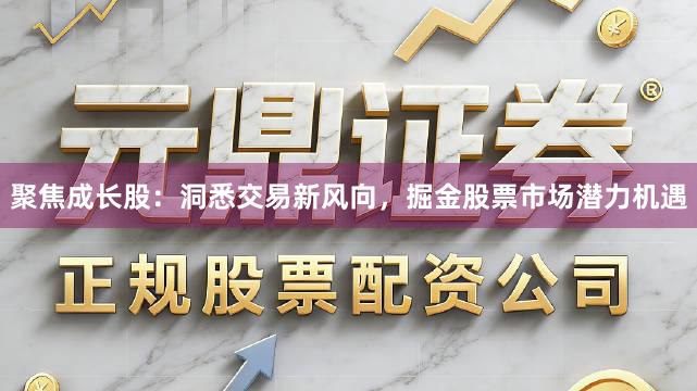 聚焦成长股：洞悉交易新风向，掘金股票市场潜力机遇