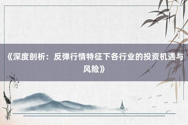 《深度剖析:反弹行情特征下各行业的投资机遇与风险》
